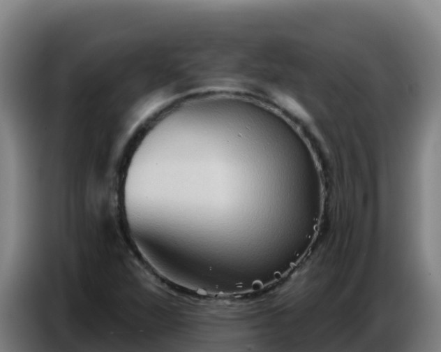 X0000086751360200704201717