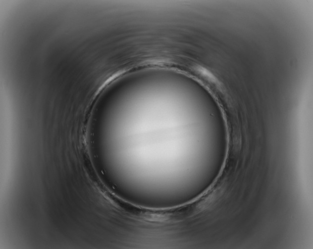 X0000086751361200704201717