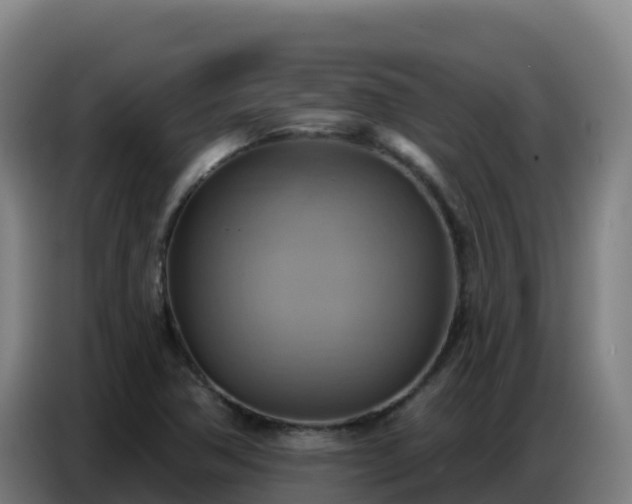 X0000086751362200704201717