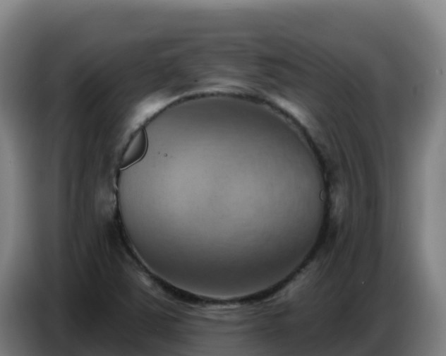 X0000086751363200704201717