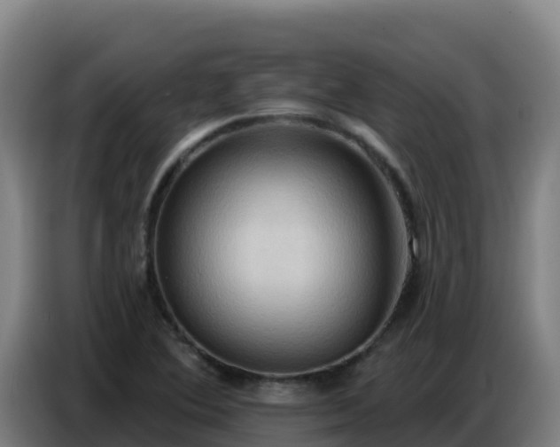 X0000086751364200704201717