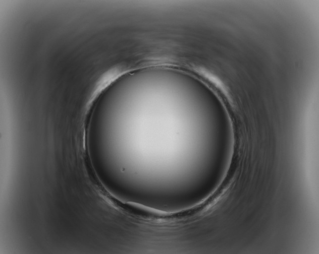 X0000086751365200704201717