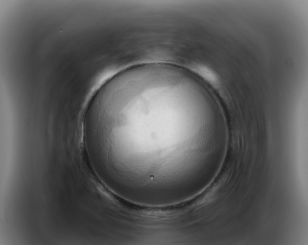 X0000086751366200704201717