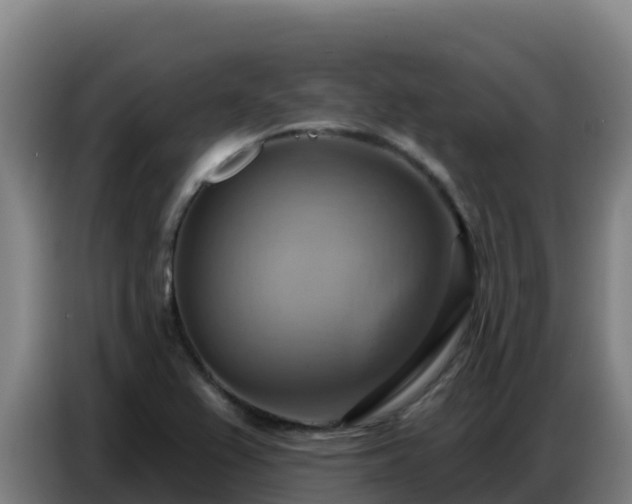 X0000086751367200704201717