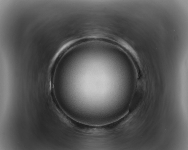 X0000086751368200704201717