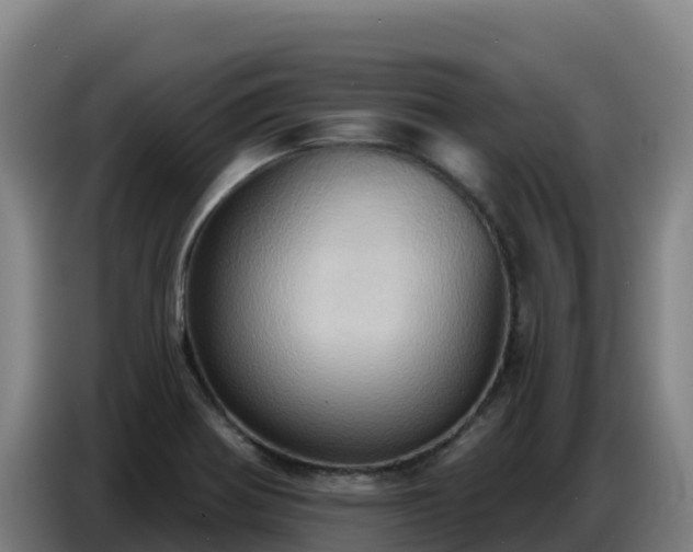 X0000086751370200704201717