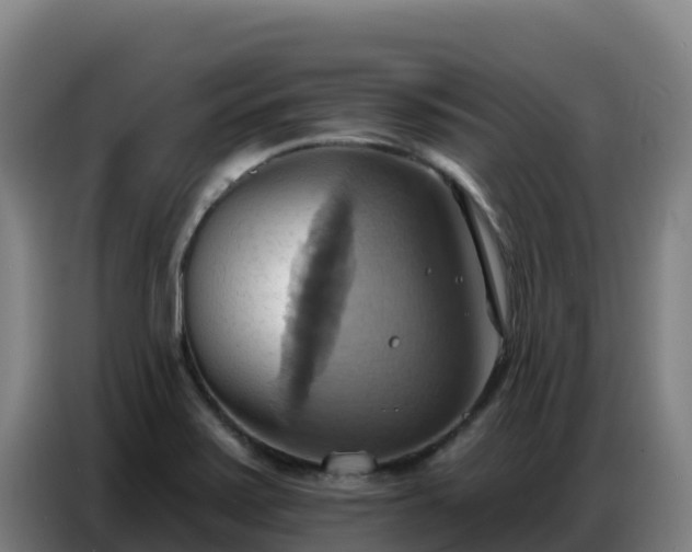 X0000086751371200704201717