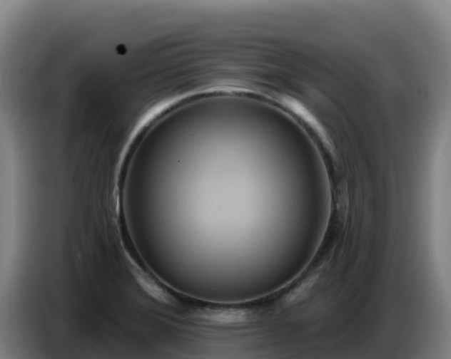 X0000086751372200704201717