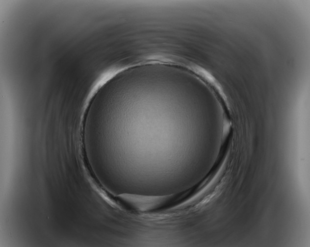 X0000086751373200704201717
