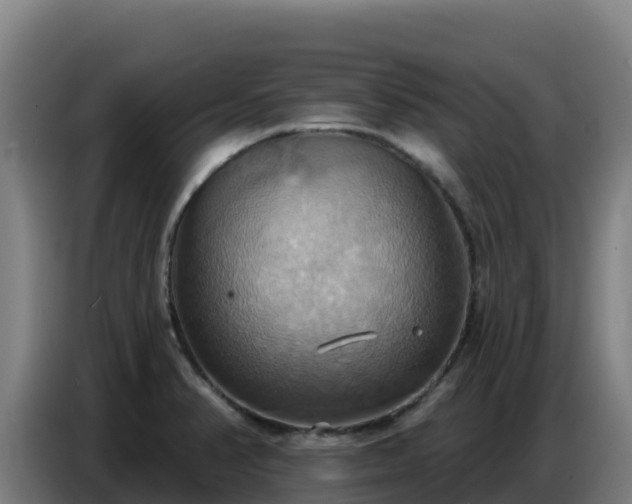 X0000086751374200704201717