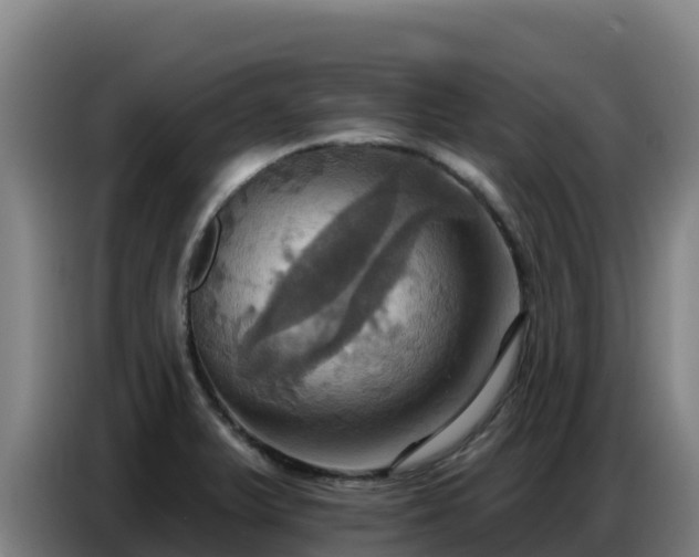 X0000086751375200704201717