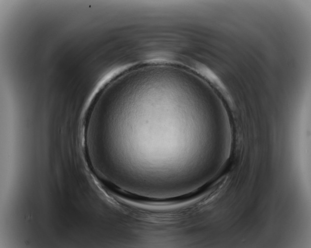 X0000086751376200704201717