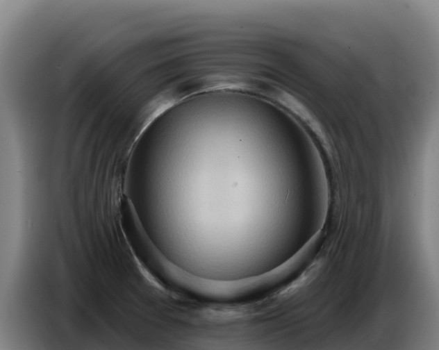 X0000086751377200704201717