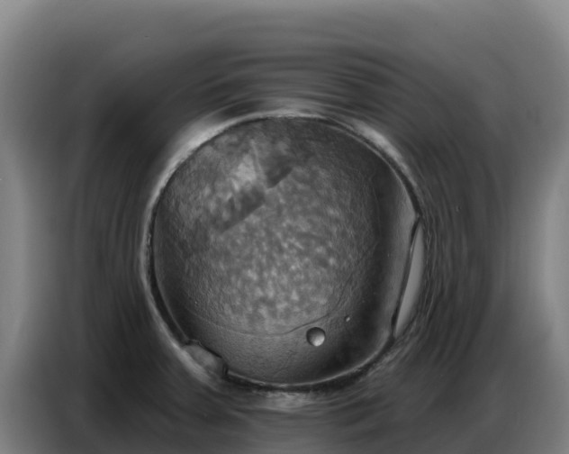 X0000086751379200704201717