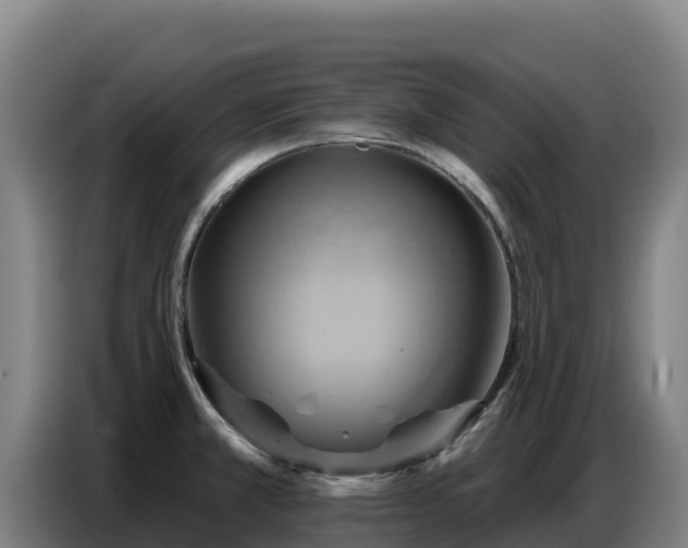 X0000086751381200704201717