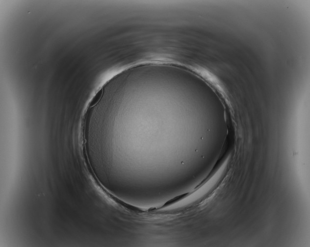 X0000086751382200704201717
