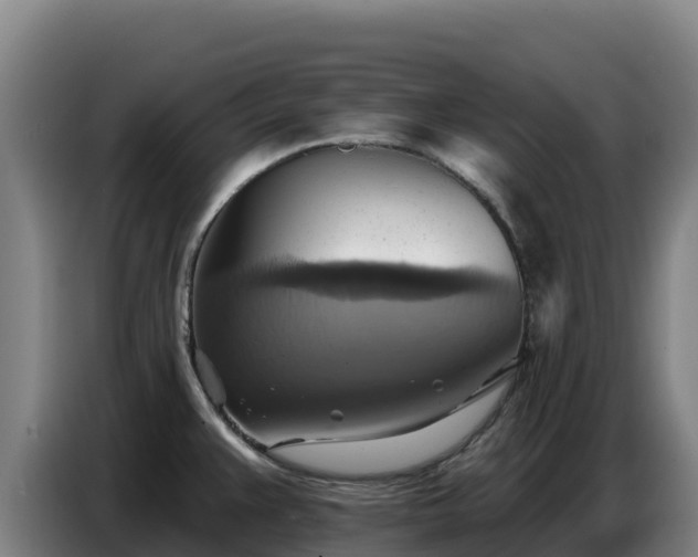 X0000086751383200704201717