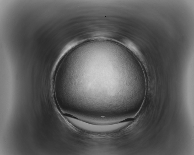 X0000086751384200704201717