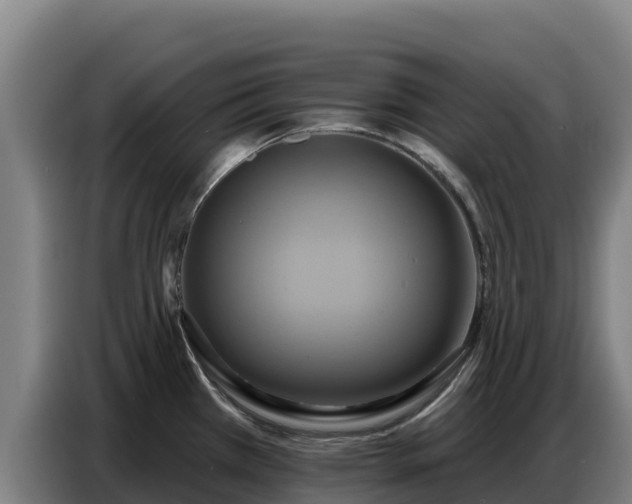 X0000086751385200704201717