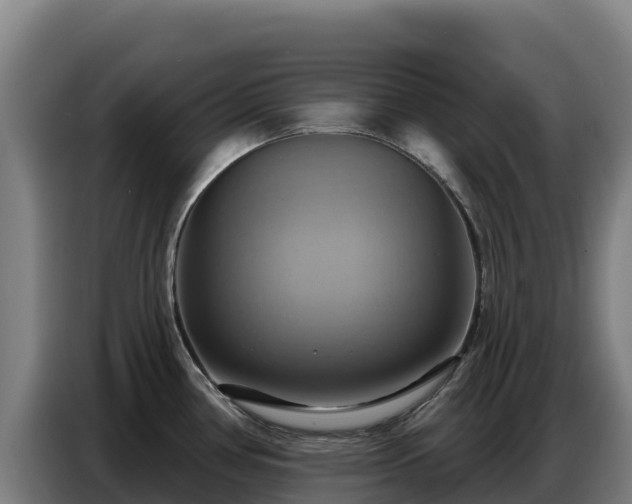 X0000086751386200704201717