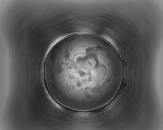 X0000086751387200704201717