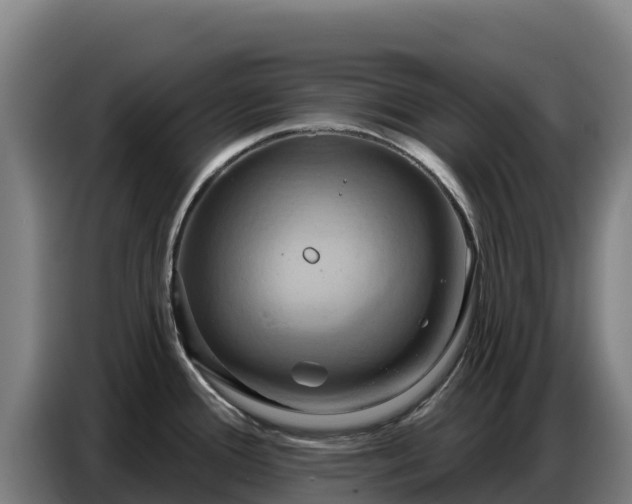 X0000086751388200704201717