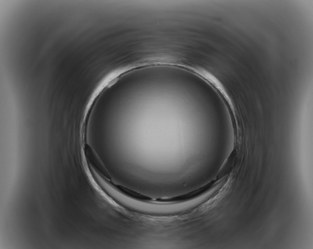 X0000086751389200704201717