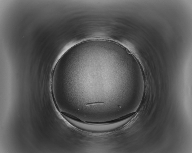 X0000086751390200704201717