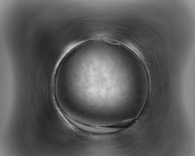 X0000086751392200704201717