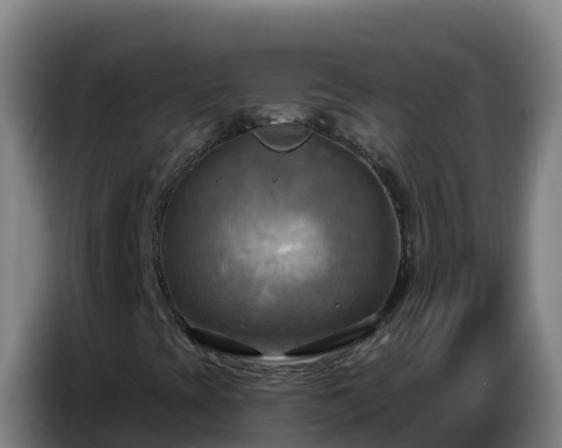X0000086751393200704201716