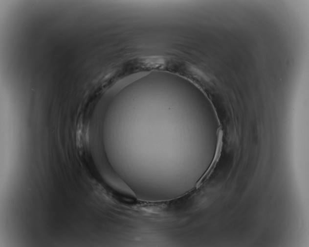 X0000086751394200704201716