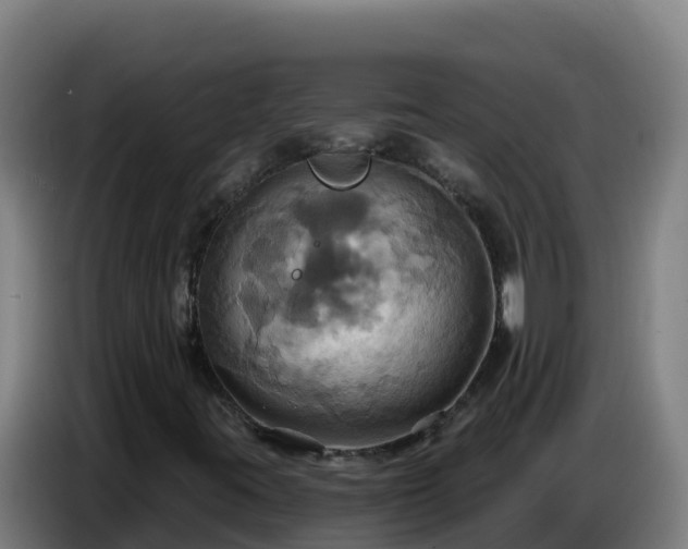 X0000086751395200704201716