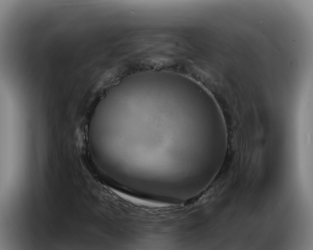 X0000086751397200704201716