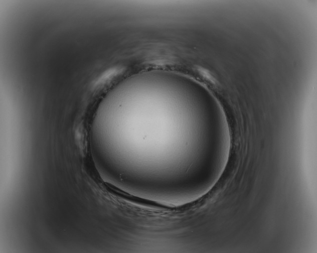 X0000086751398200704201716