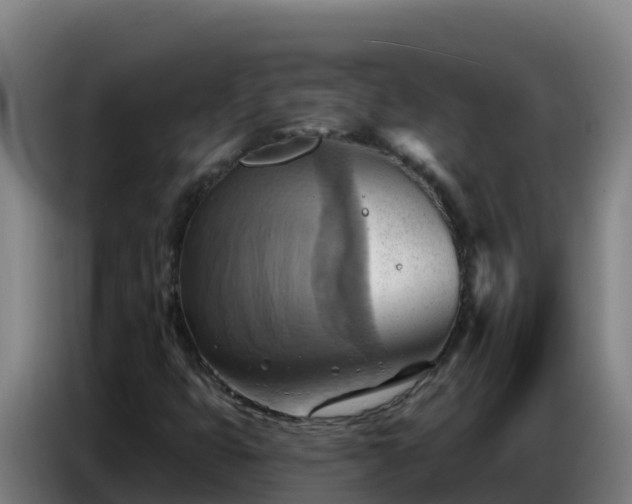 X0000086751399200704201716
