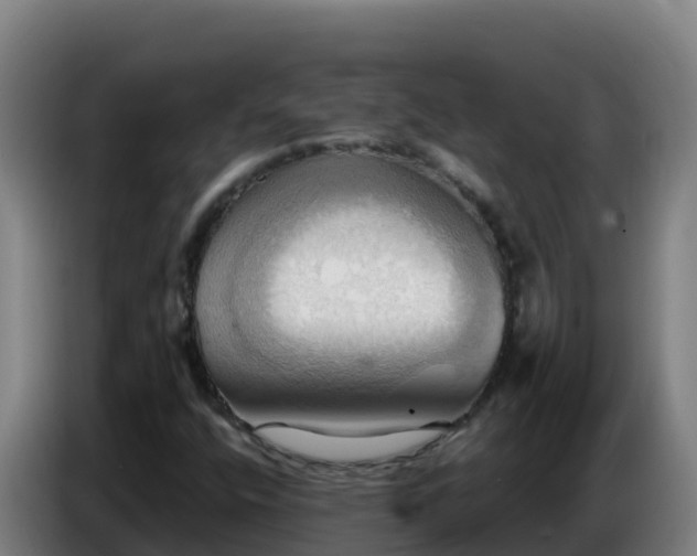 X0000086751400200704201716