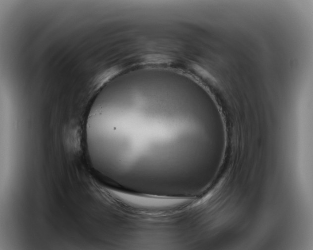 X0000086751401200704201716