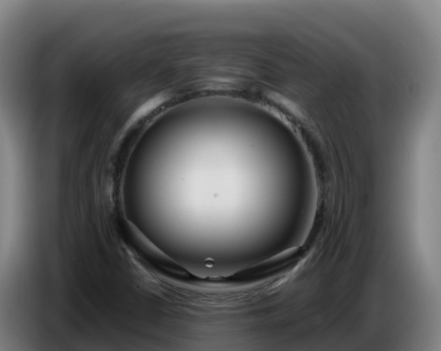 X0000086751402200704201716