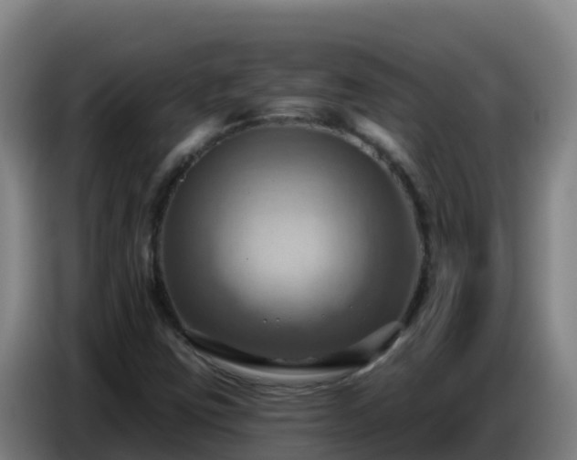 X0000086751403200704201716