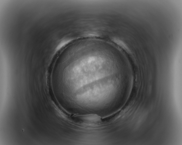 X0000086751404200704201716