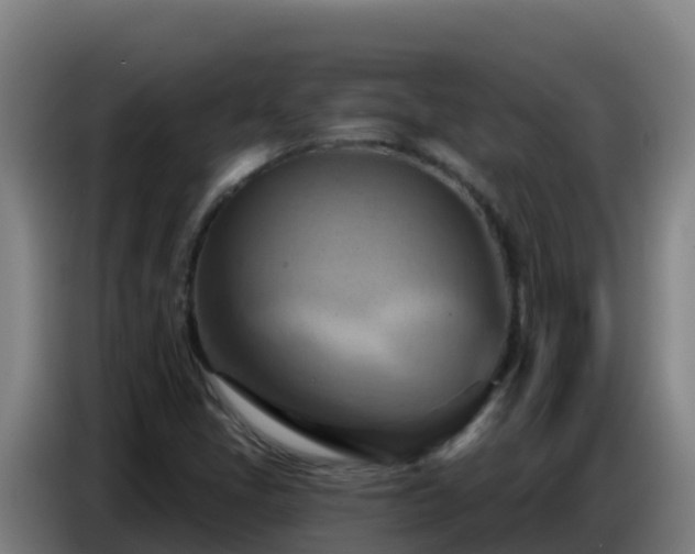 X0000086751405200704201716
