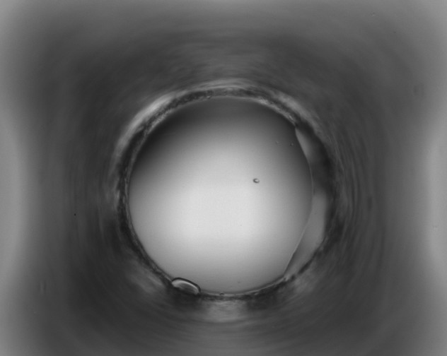 X0000086751406200704201716