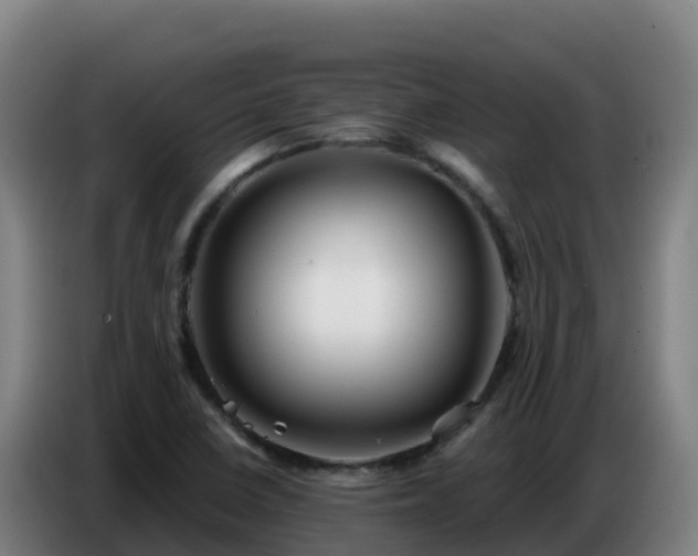 X0000086751410200704201716