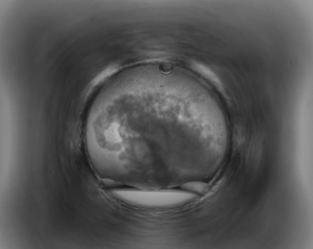 X0000086751411200704201716