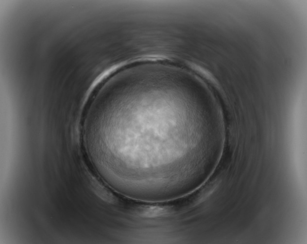 X0000086751412200704201716