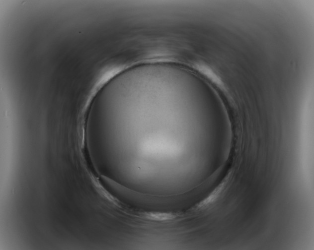 X0000086751413200704201716
