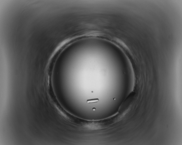 X0000086751414200704201716