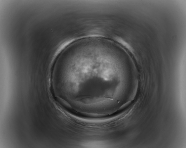 X0000086751415200704201716