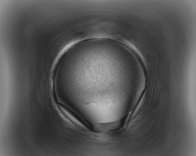 X0000086751416200704201716