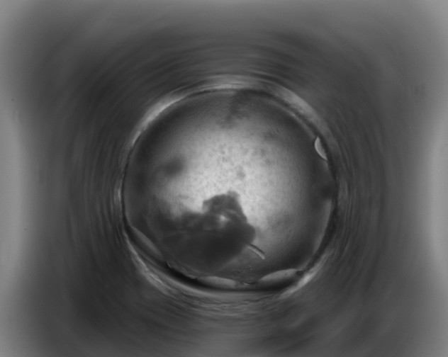 X0000086751417200704201716